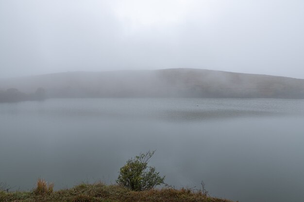 As árvores e pastagens à beira do lago estavam nebulosas no nevoeiro
