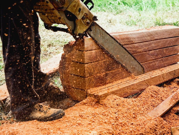 Arborist do lenhador que guardara o desenho oval da motosserra