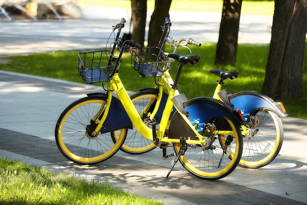 As bicicletas estão estacionadas no parque da cidade. que pode ser alugado.