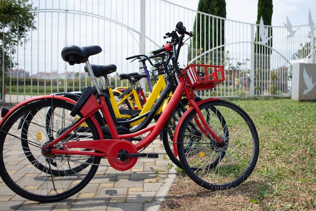 Foto as bicicletas ficam enfileiradas em um estacionamento para alugar