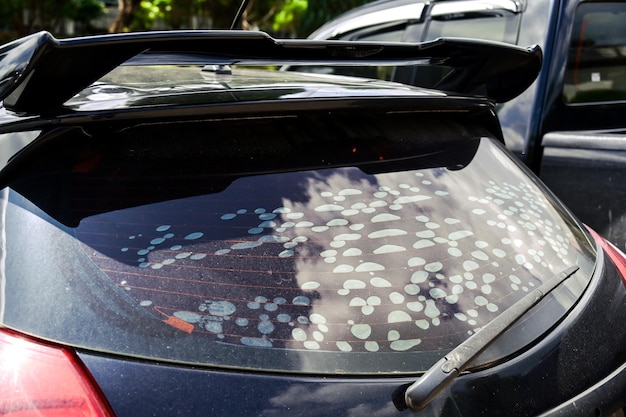 As bolhas de matiz da janela do carro danificam o adesivo de reparo rasgado que mantém a tonalidade no lugar, envelhece e é danificado pelos raios solares, o ar entra entre a janela e a tonalidade, causando uma superfície borbulhante
