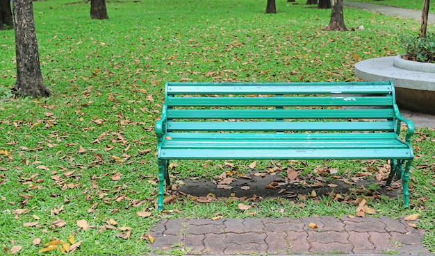 As cadeiras verdes no parque público com queda secaram as folhas ao redor. Sinta-se solitário e pacífico.