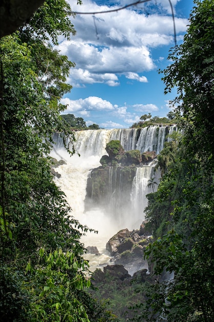 As Cataratas do Iguaçu, aninhadas em um parque nacional intocado, abrigam uma variedade diversificada de flora e fauna em seu ecossistema circundante