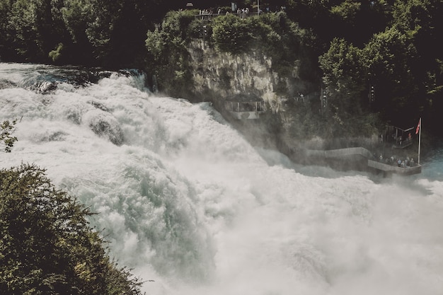 As Cataratas do Reno são a maior cachoeira da Europa em Schaffhausen, na Suíça. Dia de verão com sol. Vista da rocha