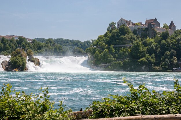 As Cataratas do Reno são a maior cachoeira da Europa em Schaffhausen, na Suíça. Paisagem de verão, clima ensolarado, céu azul e dia ensolarado