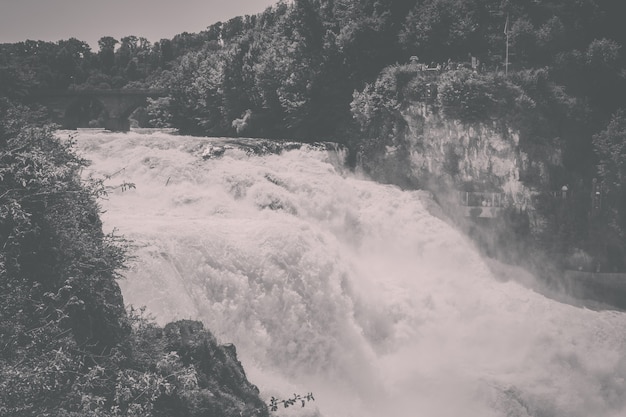 As Cataratas do Reno são a maior cachoeira da Europa em Schaffhausen, na Suíça. Paisagem de verão, clima ensolarado, céu azul e dia ensolarado