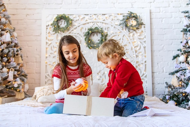 As crianças abrem presentes de Natal debaixo da árvore Foco seletivo