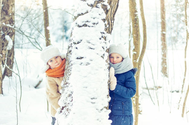 Foto as crianças andam em uma floresta nevada de inverno