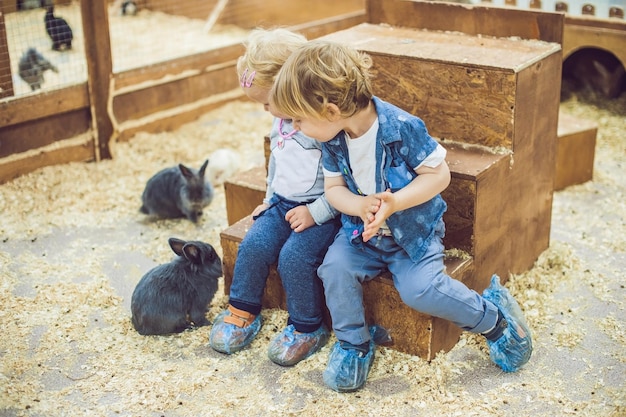 As crianças brincam com os coelhos no zoológico