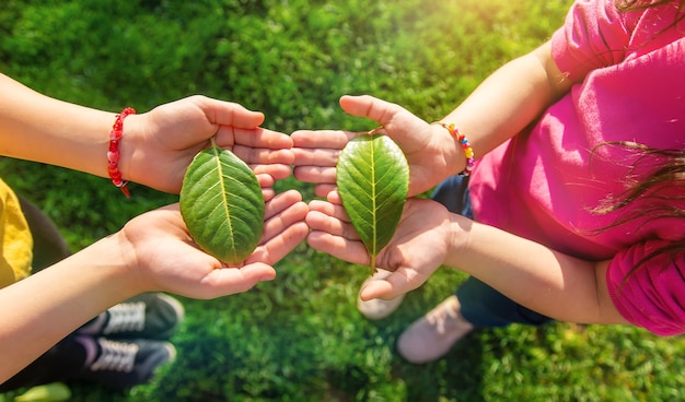 Foto as crianças cuidam da árvore natural em suas mãos foco seletivo