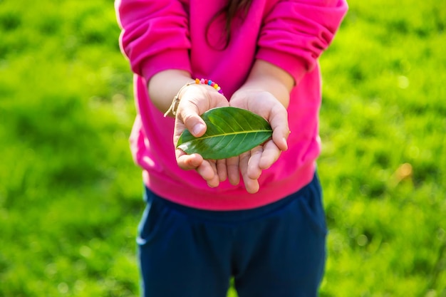 As crianças cuidam da árvore natural em suas mãos foco seletivo