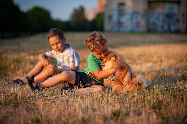 As crianças estão brincando com o cachorro no lugar do prado spitz para texto