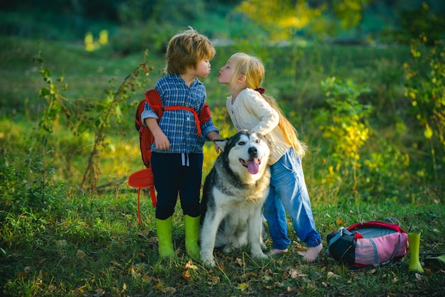 As crianças estão caminhando junto com o cão de estimação Romântico e amor Doce infância