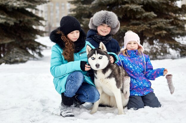As crianças saem e brincam com cães husky no inverno