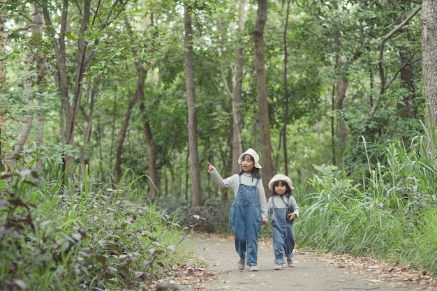 As crianças seguem para o acampamento da família na floresta. Caminhada ao longo da rota turística. Estrada de acampamento