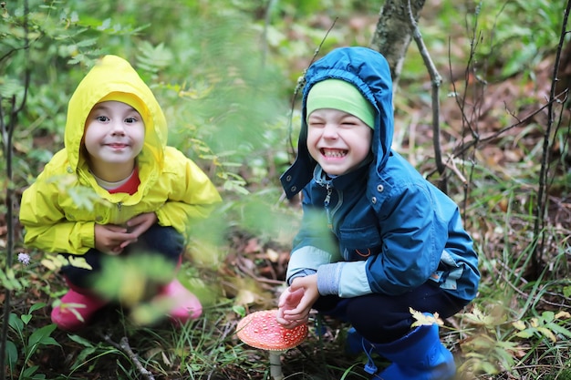 As crianças vão para a floresta para cogumelos