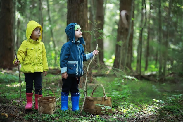 As crianças vão para a floresta para cogumelos