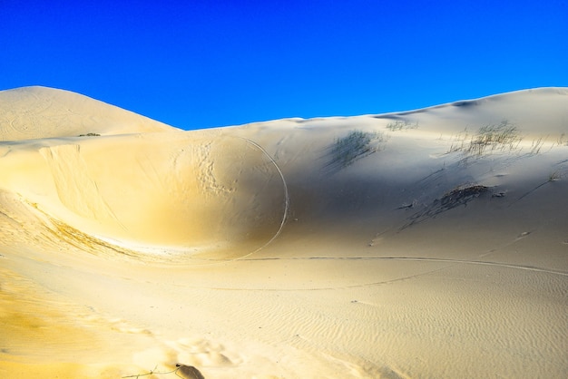 Foto as dunas da praia da joaquina em florianópolis possuem uma das vistas mais bonitas da ilha.