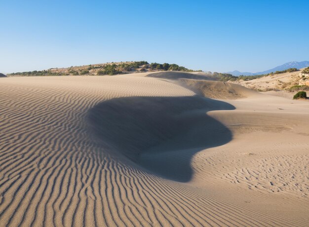As dunas de areia durante o pôr do sol Paisagem de verão no deserto Tempo quente Linhas na areia Paisagem sem pessoas