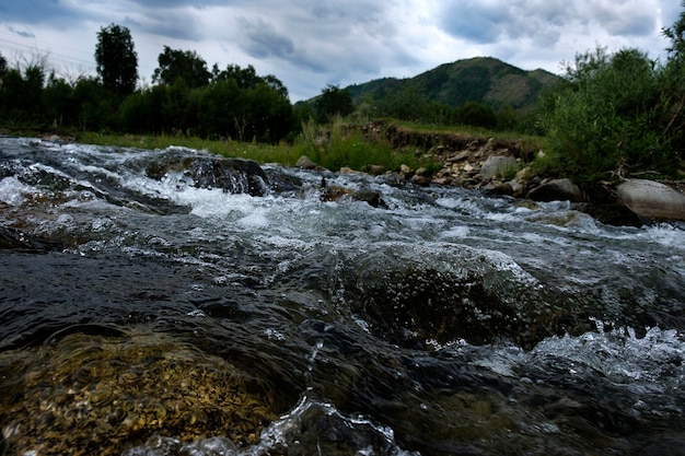 As extensões do território de altai e o rápido curso dos rios de montanha em um dia ensolarado de verão