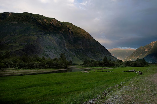 as extensões do território de Altai e o rápido curso dos rios de montanha em um dia ensolarado de verão