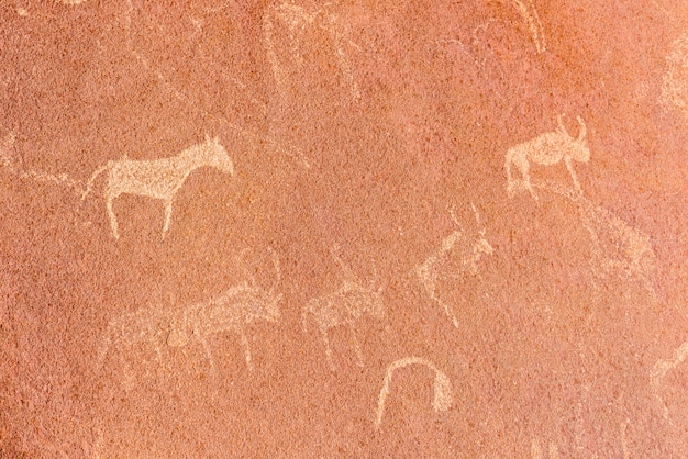 As famosas gravuras de rocha pré-histórica em twyfelfontein, namíbia, áfrica.