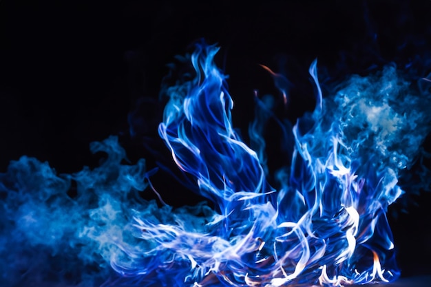 As fascinantes chamas azuis dançavam graciosamente contra o fundo escuro.