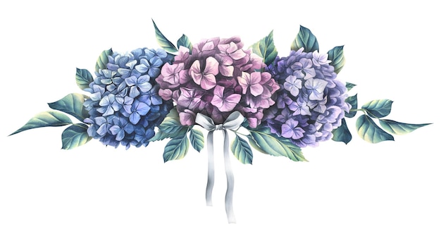 As flores de hortênsia são rosa azul e lilás com folhas verdes e um laço de cetim cinza Ilustração em aquarela Composição da coleção FLORES DE CASAMENTO Para decoração e design