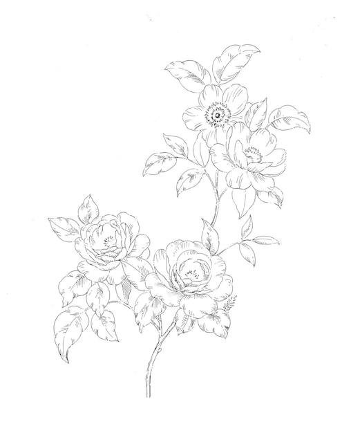 As flores no dia ensolarado, o design de arte de folhas e flores.
