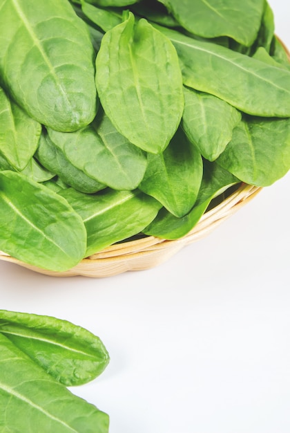 As folhas de verduras, azeda e espinafre. Foco seletivo.