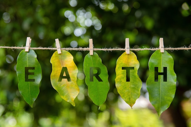 As folhas estão dispostas na palavra terra em verde. dia mundial do meio ambiente. conceito dia da terra