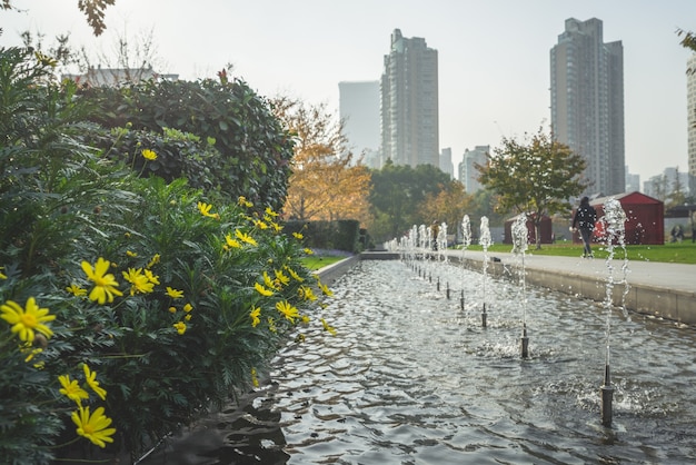 As fontes no parque e os edifícios altos à distância