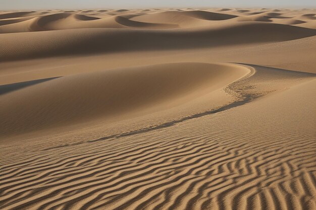 As infinitas areias da duna