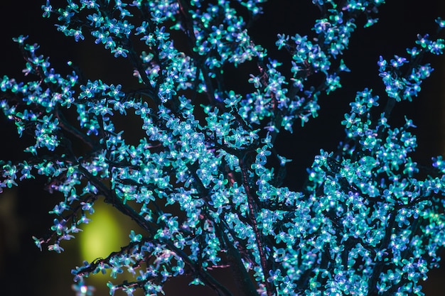 Foto as luzes são usadas para decorar as árvores para criar uma luz bonita.