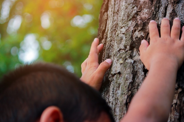 As mãos colocadas no tronco de uma árvore grande com os dedos estendidos, natureza e povos do conceito.