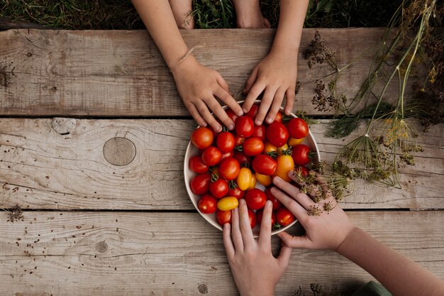As mãos das crianças alcançam um prato de tomates vermelhos que está sobre uma mesa de madeira.