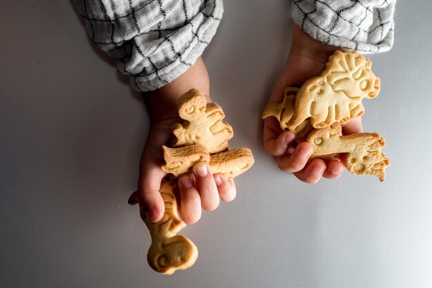 As mãos das crianças seguram biscoitos em forma de dinossauro