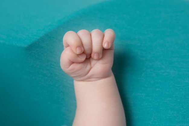 As mãos de um recém-nascido. Pequenas mãos.