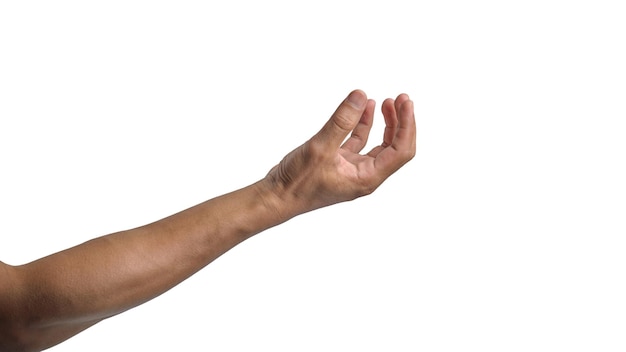 As mãos do homem em várias poses em fundo transparente ou branco