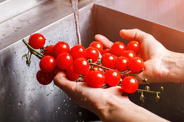 As mãos do homem lavam tomates vermelhos.