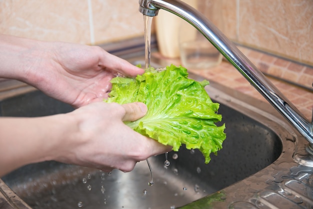 As mãos do homem lavando folhas de alface. água fluindo na alface verde. parte do lanche vegetariano. conceito de higiene, saúde e segurança.