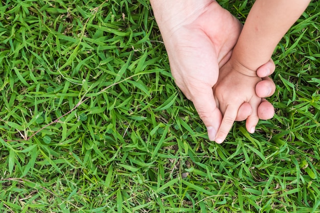 As mãos do pai ou mãe e criança segurando juntos nos campos de grama