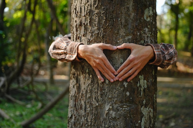 Foto as mãos humanas tocando a árvore abraçam a árvore ou protegem o meio ambiente