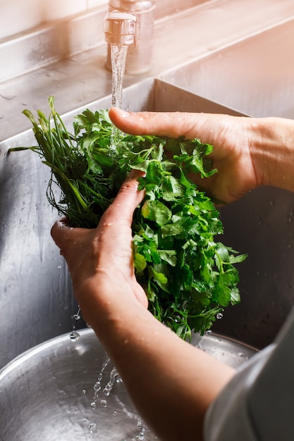 As mãos lave a salsa e o endro. Água fluindo para vegetação fresca. O cozinheiro prepara o ingrediente para a salada. Limpeza absoluta necessária.