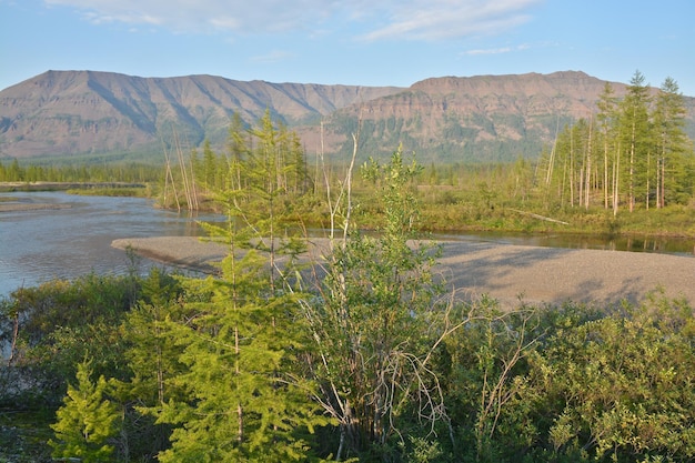 As margens do rio Muksun no planalto de Putorana