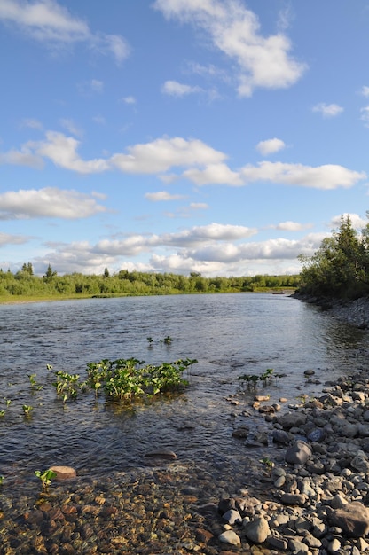 As margens polares do rio Urals Pebble