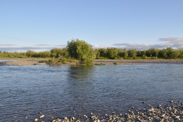 As margens polares do rio Urals Pebble