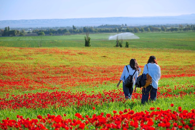 As meninas estão andando no campo de papoulas Linda paisagem de verão com um campo florido de papoulas Quirguistão Bishkek