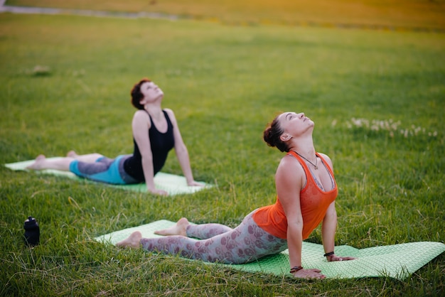 As meninas fazem ioga ao ar livre no parque durante o pôr do sol. Estilo de vida saudável.