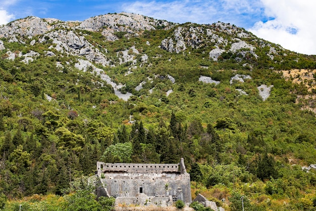 As montanhas estão cobertas de árvores e arbustos